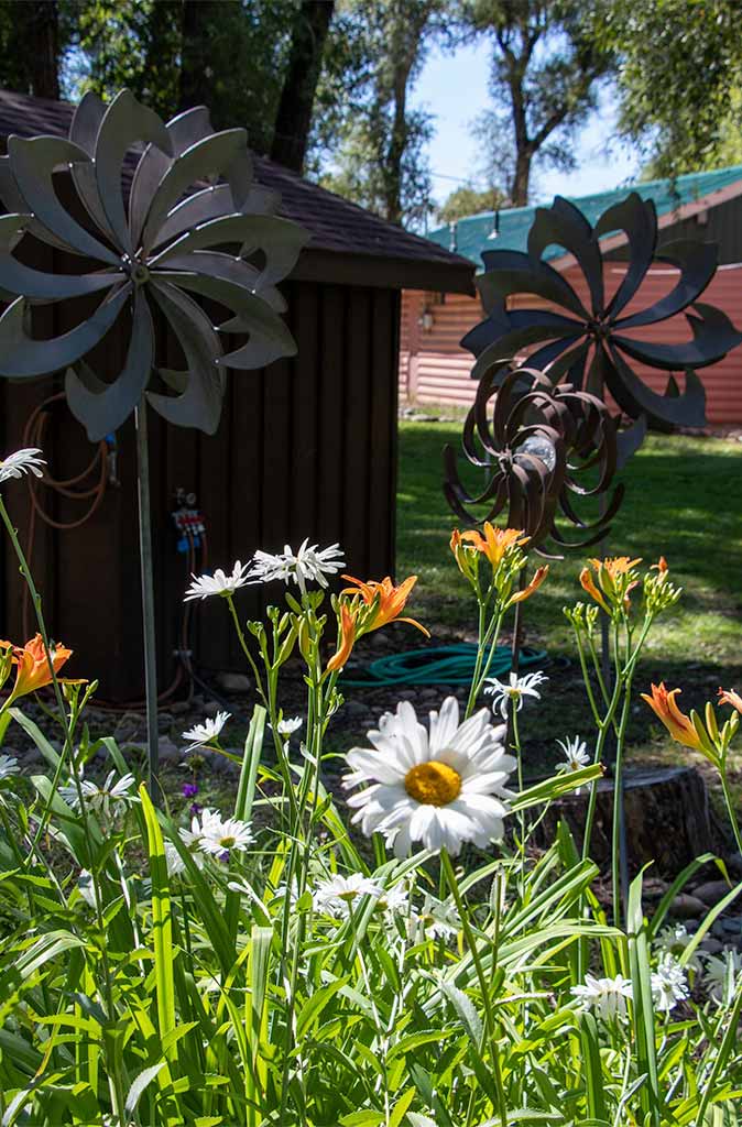 White flowers are blooming in a garden at Island Acres Resort Motel.