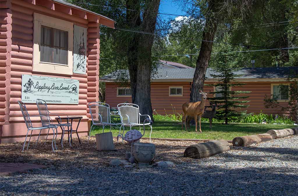 Photo of deer standing inside grassy area outside Rippling River Ranch Cabin at Island Acres Resort Motel.