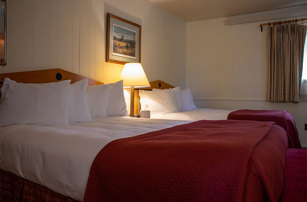 Deluxe two Queen beds at Island Acres Resort Motel
