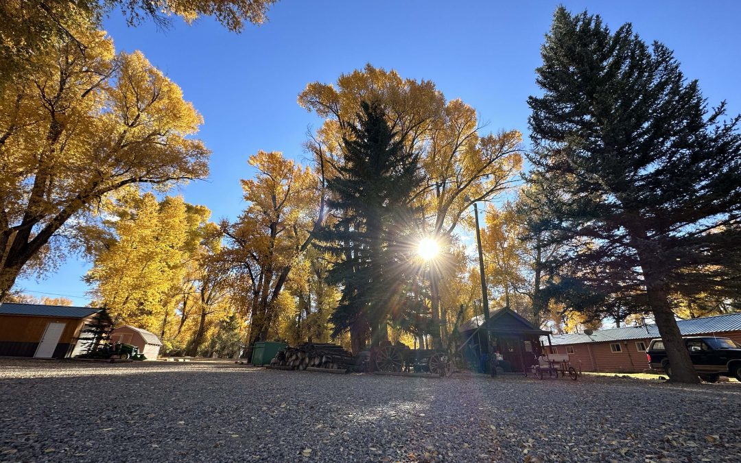 Where to see Magnificent Fall Colors near Gunnison, Colorado